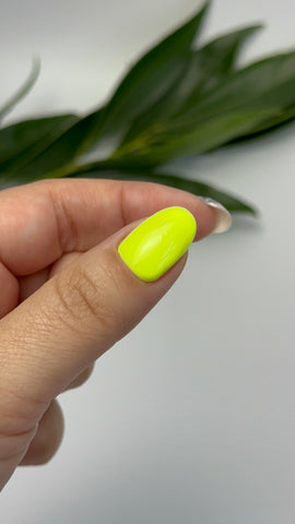 Shemy Gel Polish 15. 8 ml